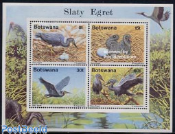Delcampe - Botswana 1989 Birds S/s, Mint NH, Nature - Birds - Botswana (1966-...)