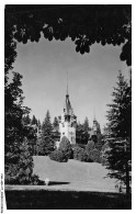 Delcampe - CAR-AEHP7-0382-ROUMANIE - Sinala - Castelul Peles - Rumänien