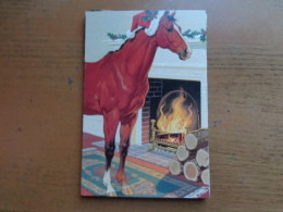 Delcampe - Paard, Cheval, Horse --> Onbeschreven - Caballos