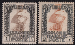 Delcampe - 1924-Libia (MNH=**) 1c.+2c. Pittorica - Libyen