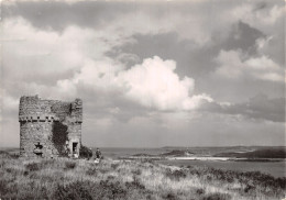 Delcampe - 22-PLOUGRESCANT-N°2872-C/0137 - Plougrescant