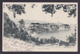 Delcampe - MONACO, Postcard RPPC, Monaco, Between The Olive Trees - Monte-Carlo