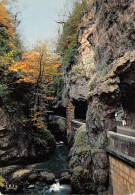 Delcampe - 38-LES GRANDS GOULETS-N°2894-C/0165 - Les Grands Goulets