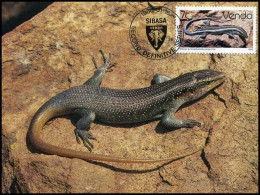 Delcampe - Venda - MK - Slangen / Snakes - Venda