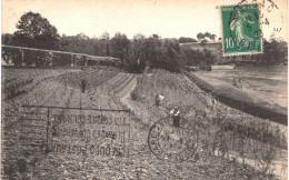 Delcampe - Carte POSTALE  Ancienne De MARSAC - (Tampon) - Autres & Non Classés