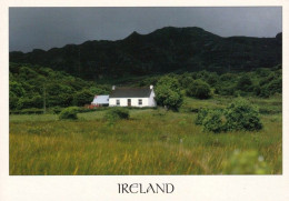 Delcampe - 1 AK Irland / Ireland * Landschaft In Irland * - Sonstige & Ohne Zuordnung