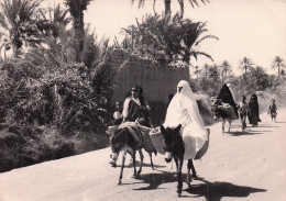 Delcampe - MAROC ERFOUD FEMMES SE RENDANT AU MARCHE - Altri & Non Classificati