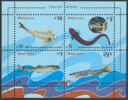 Delcampe - Nepal, 1993, Fish, Fishes, Souvenir Sheet - Nepal