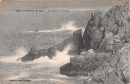 Delcampe - 29-LA POINTE DU RAZ LE MOINE EN TEMPETE-N°5139-F/0237 - La Pointe Du Raz