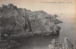 Delcampe - 29-LA POINTE DU RAZ-N°5139-F/0227 - La Pointe Du Raz