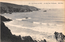 Delcampe - 29-LA POINTE DU RAZ LA BAIE DES TREPASSES-N°5139-F/0213 - La Pointe Du Raz