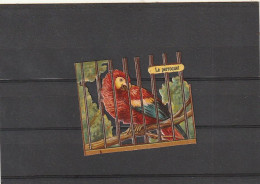 Delcampe - ***  CHROMO  *** Découpis -  LE PERROQUET  -    -  6.5cm - Animaux