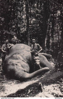 Delcampe - CARTE PHOTO SINGAPOUR SINGAPORE  CHASSEURS D'ELEPHANTS - Singapur