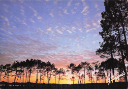 Delcampe - 40 CASTETS VISAGES DES LANDES - Castets
