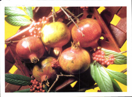 Delcampe - CPM Fruits - Sonstige & Ohne Zuordnung
