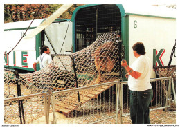 Delcampe - AHRP10-0890-CIRQUE - Cirque Knie - 1990 - Transfert De Cage - Zirkus