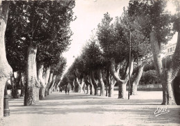 Delcampe - 66-PERPIGNAN-N°T217-A/0283 - Perpignan