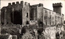 Delcampe - CPM Salon De Provence Le Chhateau Vue D'ensemble - Schlösser