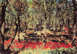 Delcampe - 16 COGNAC PONT DE CHATEAUNEUF - Cognac