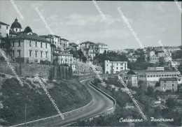 Delcampe - Bz94 Cartolina Catanzaro Citta' Panorama Calabria - Catanzaro