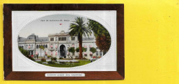 Delcampe - BUENOS AIRES Casa De Gobierno Pl. Mayo (Luou 104) Argentine - Argentinien