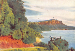 Delcampe - B325 New Zealand Godfrey Philips Ltd Panekeri Bluff Lake Waikaremoana Postcard - Neuseeland