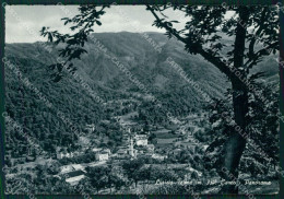 Delcampe - Cuneo Roccaforte Mondovì Lurisia Foto FG Cartolina KF1560 - Cuneo