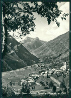 Delcampe - Cuneo Bagni Di Vinadio Valle Stura Foto FG Cartolina KF1556 - Cuneo