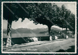 Delcampe - Varese Porto Valtravaglia Lago Maggiore Foto FG Cartolina KF1600 - Varese