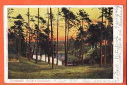 Delcampe - 15006 (•◡•) GRUNEWALD Berlin @ Kolonie GRUNEWALD @ 1905 à FISCHER Paris @ Theodor EISMANN 103 Deutschland - Grunewald