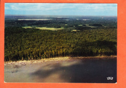 Delcampe - 15336  ️ GUIANA GUYANE Française ◉ Foret Guyanaise Sur Côte ATLANTIQUE 1975s ◉ Albert JEAN-CHARLES Cayenne 755 - Sonstige & Ohne Zuordnung