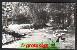 Delcampe - OOTMARSUM Grote Bron Op Springendal 1975 - Ootmarsum