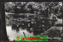 Delcampe - OOTMARSUM Bronnen Springendal 1969 - Ootmarsum