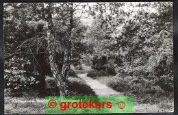 Delcampe - OOTMARSUM Wandelweg Springendal 1976 - Ootmarsum