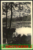 Delcampe - OISTERWIJK  5 Kaarten Van De Vennen Ca 1935 - Sonstige & Ohne Zuordnung