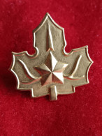 Delcampe - Yugoslavian Boy Scout Cap Badge 70s - Asociaciones
