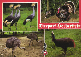 Delcampe - STUBENBERG, ANIMAL PARK HERBERSTEIN, CROWNED CRANES, RHEAS, TURKEYS, CASSOWARIES, BIRDS, POSTCARD, AUSTRIA - Vögel