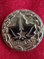 Delcampe - Yugoslavian Boy Scout  Badge 70s - Asociaciones