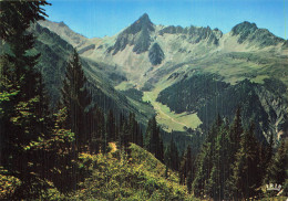 Delcampe - 74 LES CONTAMINES MONTJOIE TOUR DU MONT BLANC - Les Contamines-Montjoie