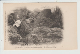 Delcampe - NEMOURS - SEINE ET MARNE - ROCHERS DE CHAINTREAUVILLE - LE CHAOS DU REFUGE - Nemours