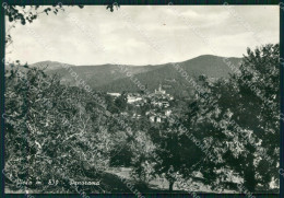 Delcampe - Cuneo Viola Foto FG Cartolina KF3289 - Cuneo