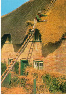 Delcampe - Métiers Animée Réfection Toit De Chaume Couvreurs Chaumiers Chaumistes Artisan Chantier Chaumière - Kunsthandwerk