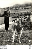 Delcampe - Pépinières Letourneau - Burgy - M. Letourneau, Père Et Son Chien - Sonstige & Ohne Zuordnung