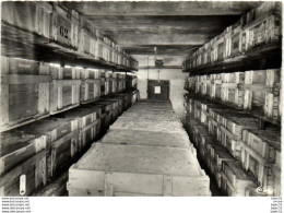 Delcampe - Pépinières Letourneau - Burgy - Chambre De Stratification - Sonstige & Ohne Zuordnung