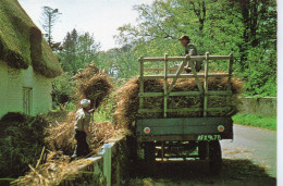 Delcampe - Métiers Animée Réfection Toit De Chaume Couvreurs Chaumiers Chaumistes Artisan Chantier Chaumière - Kunsthandwerk