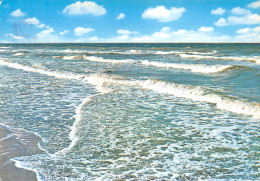 Delcampe - 11-BRAM LA MER-N°3302-D/0233 - Bram