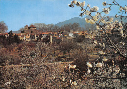 Delcampe - 66-CERET-N°4016-C/0285 - Ceret