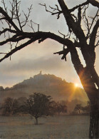 Delcampe - 81-CORDES-N°4016-C/0143 - Cordes