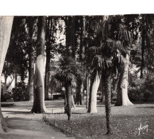 Delcampe - 66-PERPIGNAN-N°4016-C/0073 - Perpignan