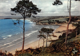 Delcampe - 29-DOUARNENEZ RIS-N°4016-B/0213 - Douarnenez